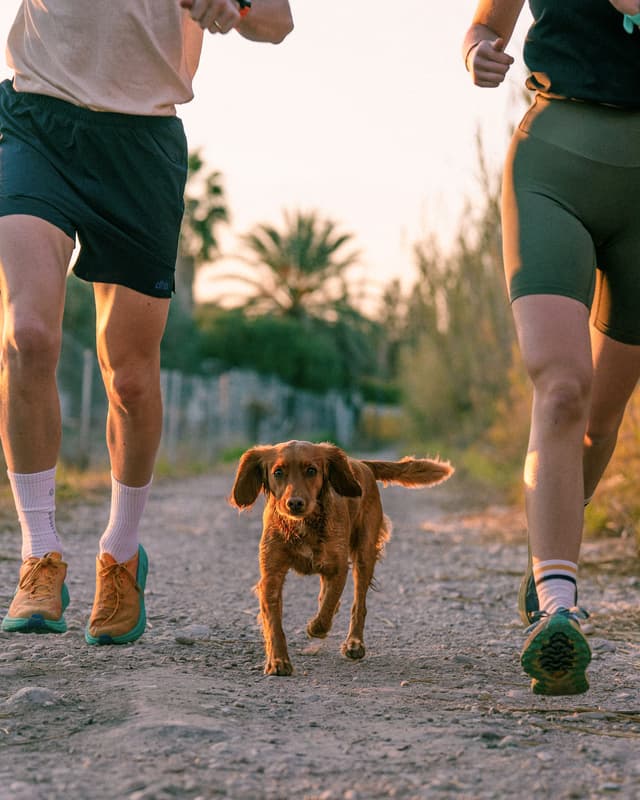 Carrera por senderos